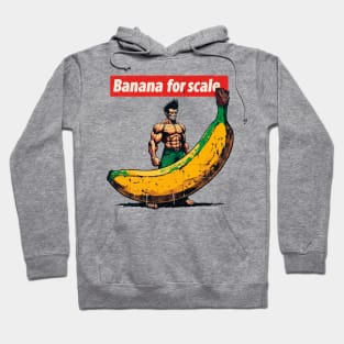 Banana For Scale Hoodie